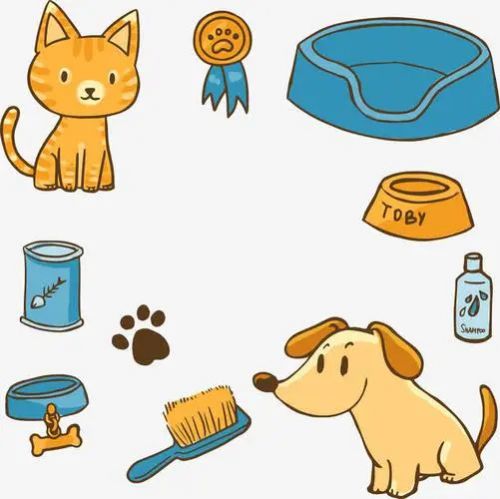 科学喂养，从“食”开始 如何为爱宠挑选健康食品