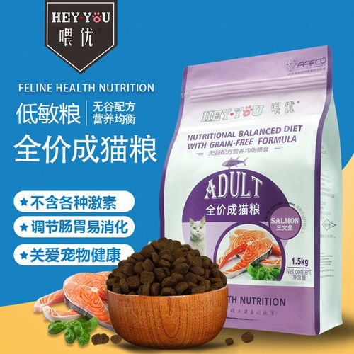 深圳铲屎官必看 选购猫粮的五大注意事项与本地资源指南